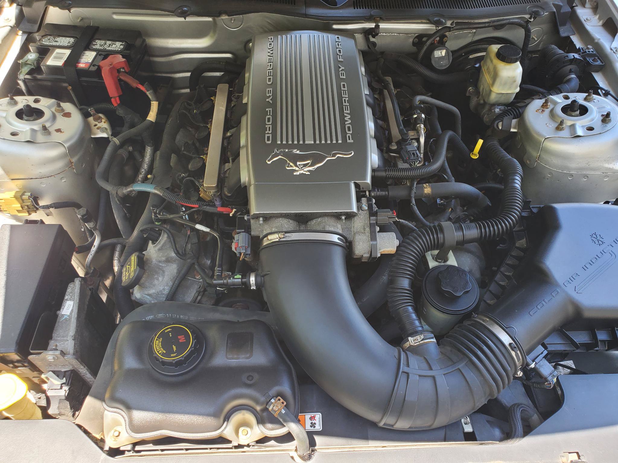 Used 2010 Ford Mustang GT Premium RWD image 14