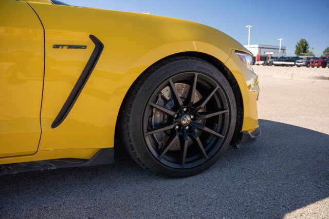 Used 2018 Ford Mustang Shelby GT350 w/ Convenience Package RWD image 9