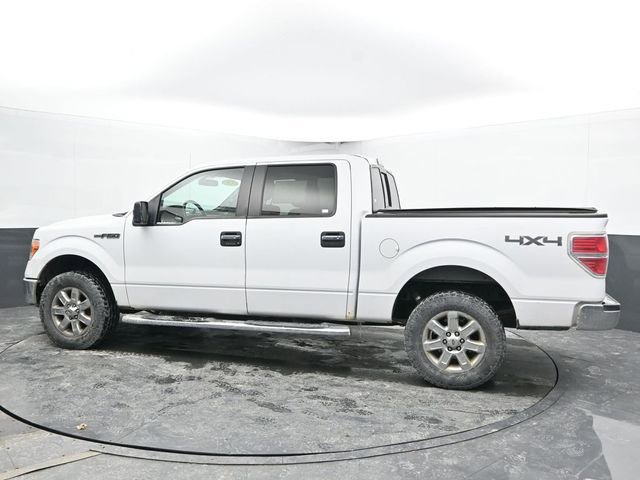 Used 2014 Ford F150 XLT w/ Equipment Group 302A Luxury image 7