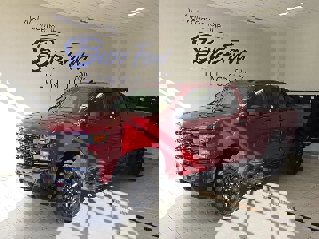 Used 2019 Chevrolet Silverado 1500 Custom Trail Boss image 1