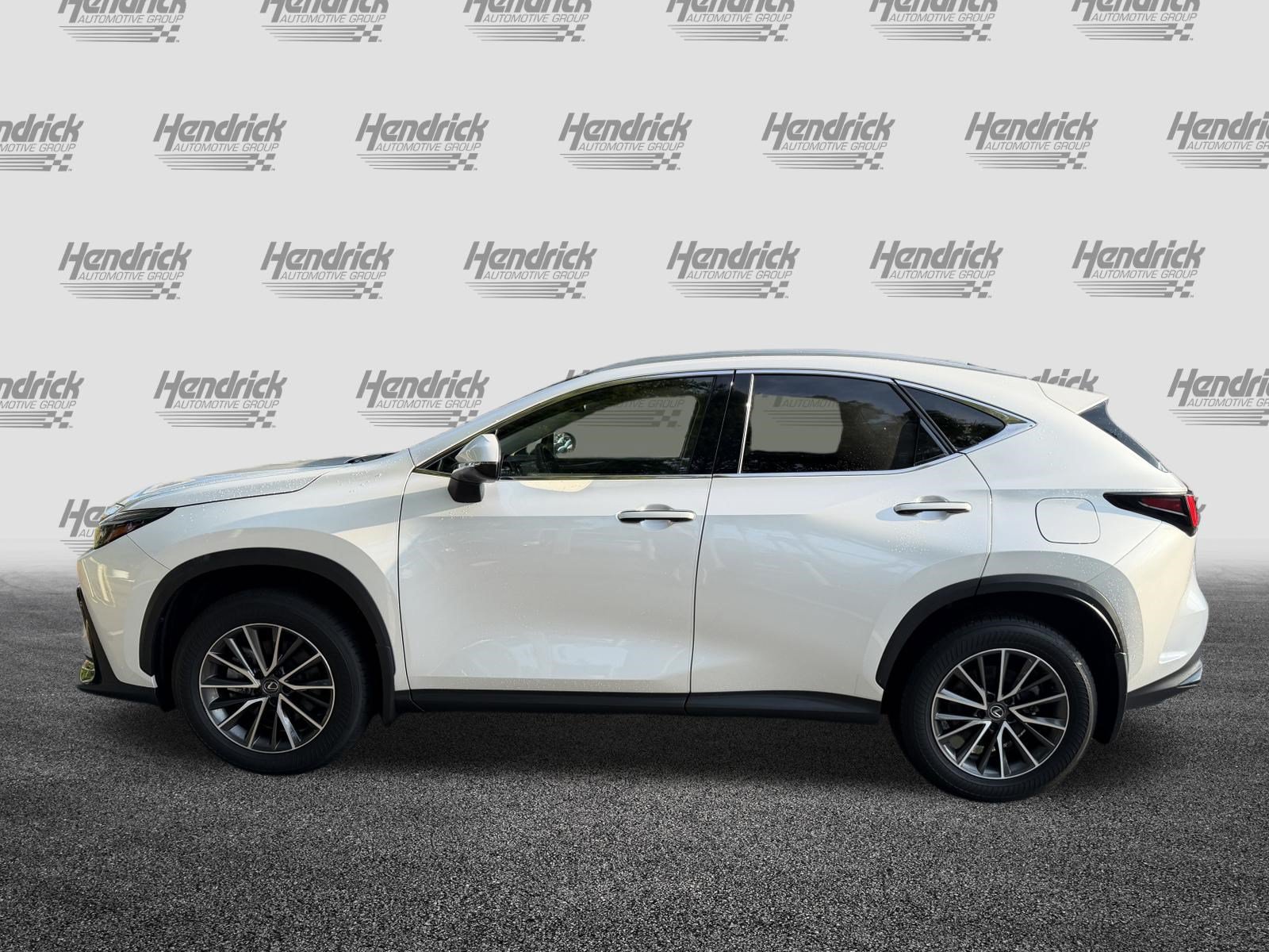 Used 2024 Lexus NX 250 FWD w/ Cold Area Package image 6