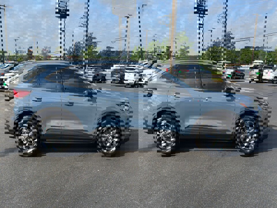Used 2025 Ford Escape ST-Line w/ Tech Pack #1 image 2
