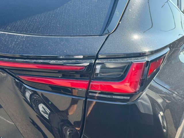 Used 2025 Lexus NX 350 AWD w/ Cold Area Package image 13