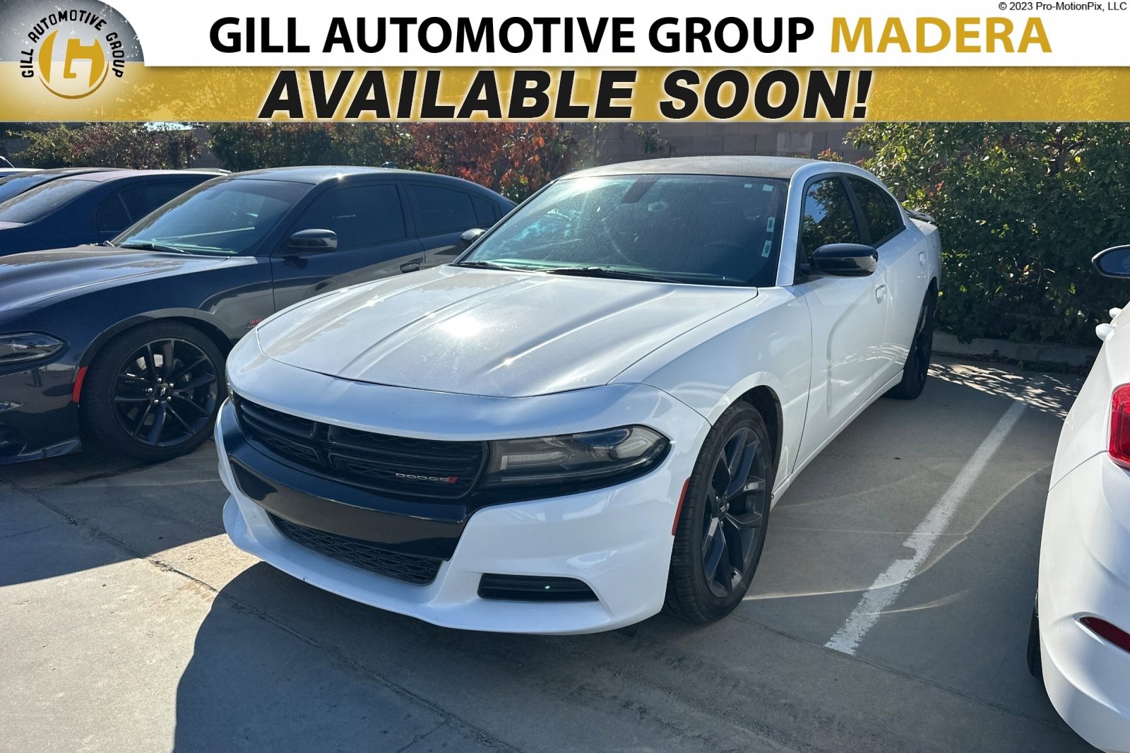 Used 2019 Dodge Charger SXT