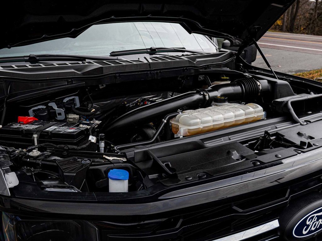 Used 2024 Ford F150 XLT image 33