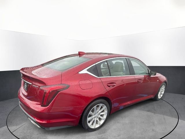 Used 2021 Cadillac CT5 Luxury w/ Sun And Sound Package RWD image 7