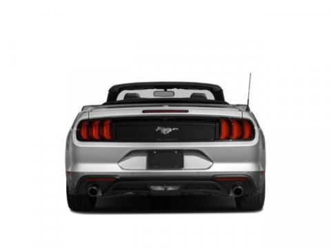 Used 2019 Ford Mustang Convertible w/ Ecoboost Performance Package image 5