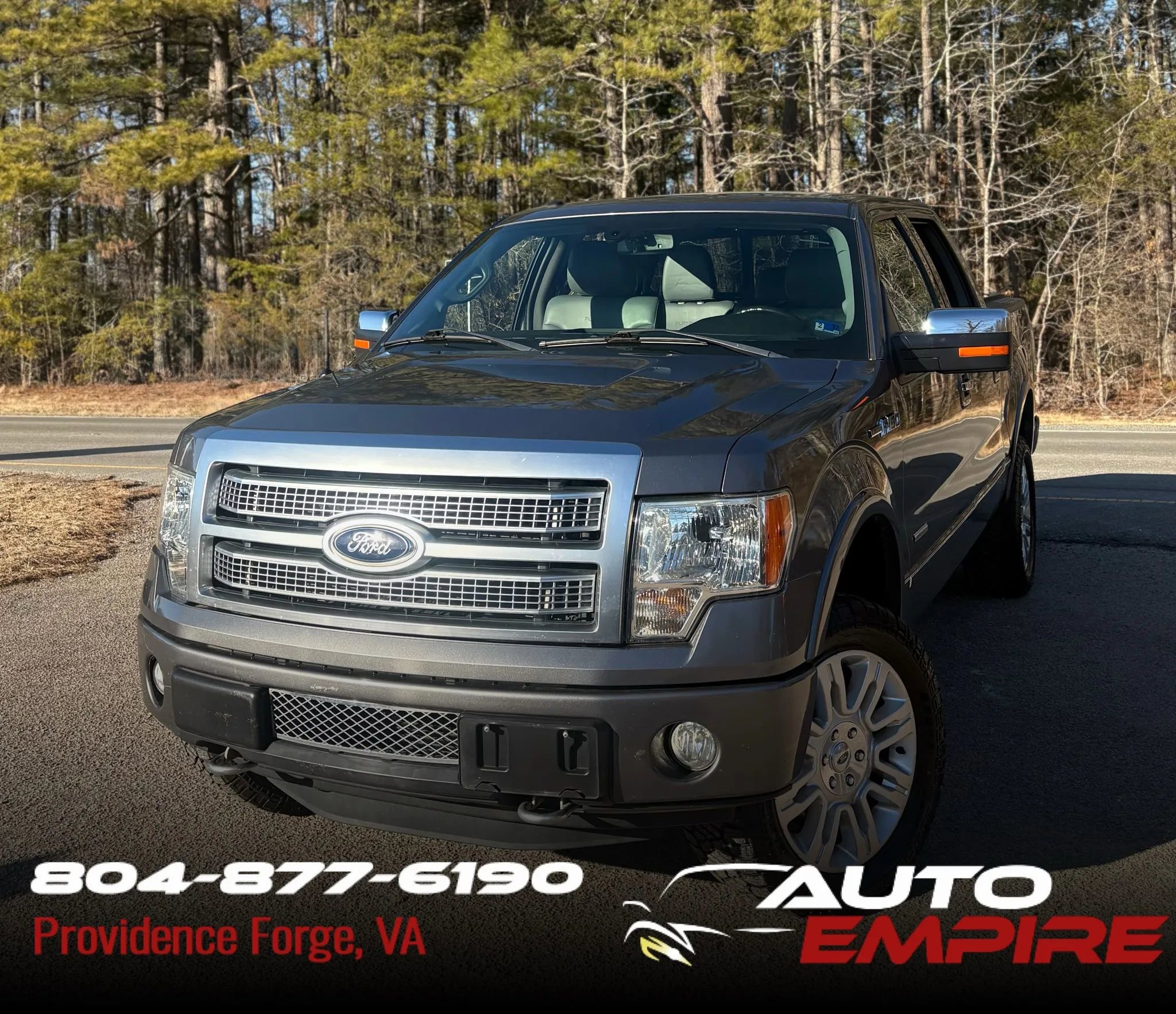 Used 2012 Ford F150 Platinum