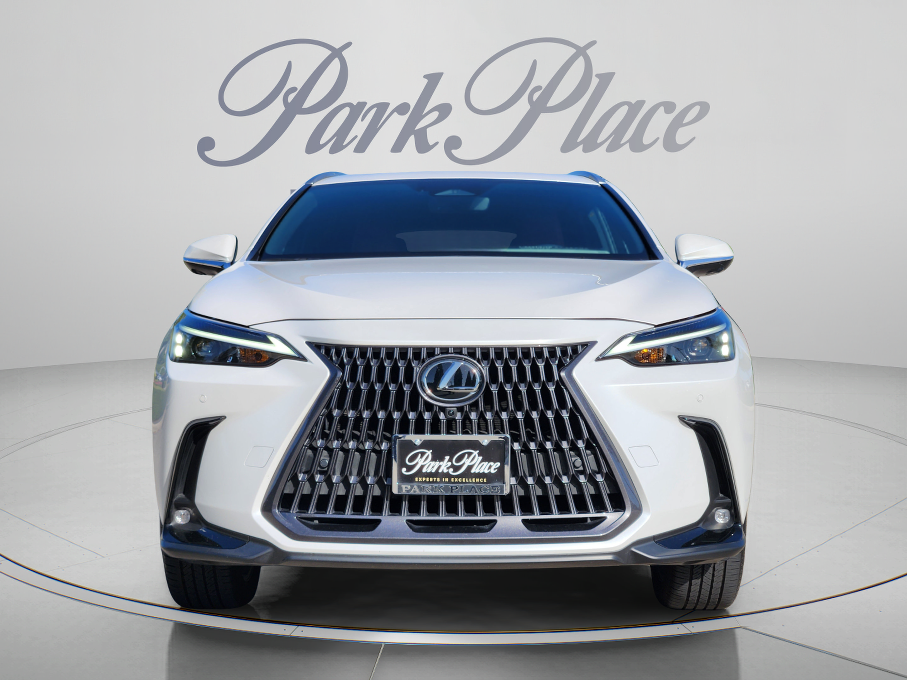 Certified 2025 Lexus NX 350 AWD w/ Cold Area Package image 7