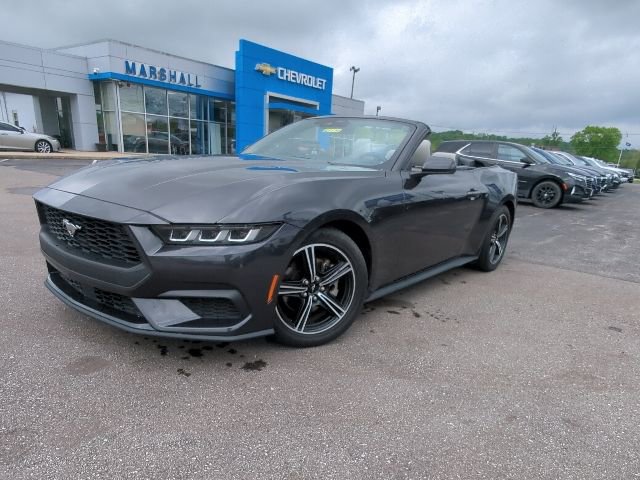 Used 2024 Ford Mustang Premium RWD image 2