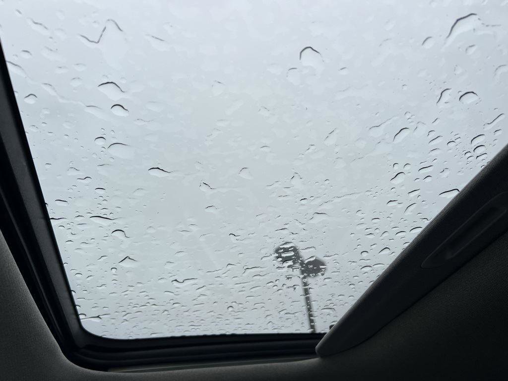 New 2025 Hyundai Santa Fe Limited image 11