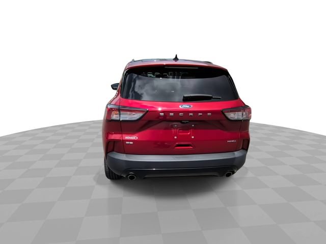 Used 2021 Ford Escape SE w/ SE Sport Appearance Package AWD/4WD image 7