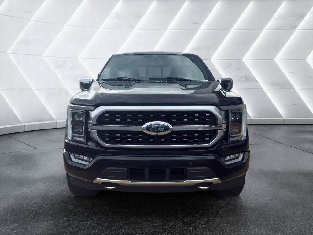 Used 2021 Ford F150 Platinum w/ Equipment Group 701A High image 2