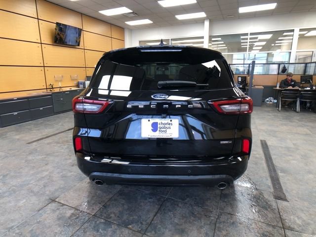 Used 2025 Ford Escape ST-Line Elite w/ Premium Technology Package image 6