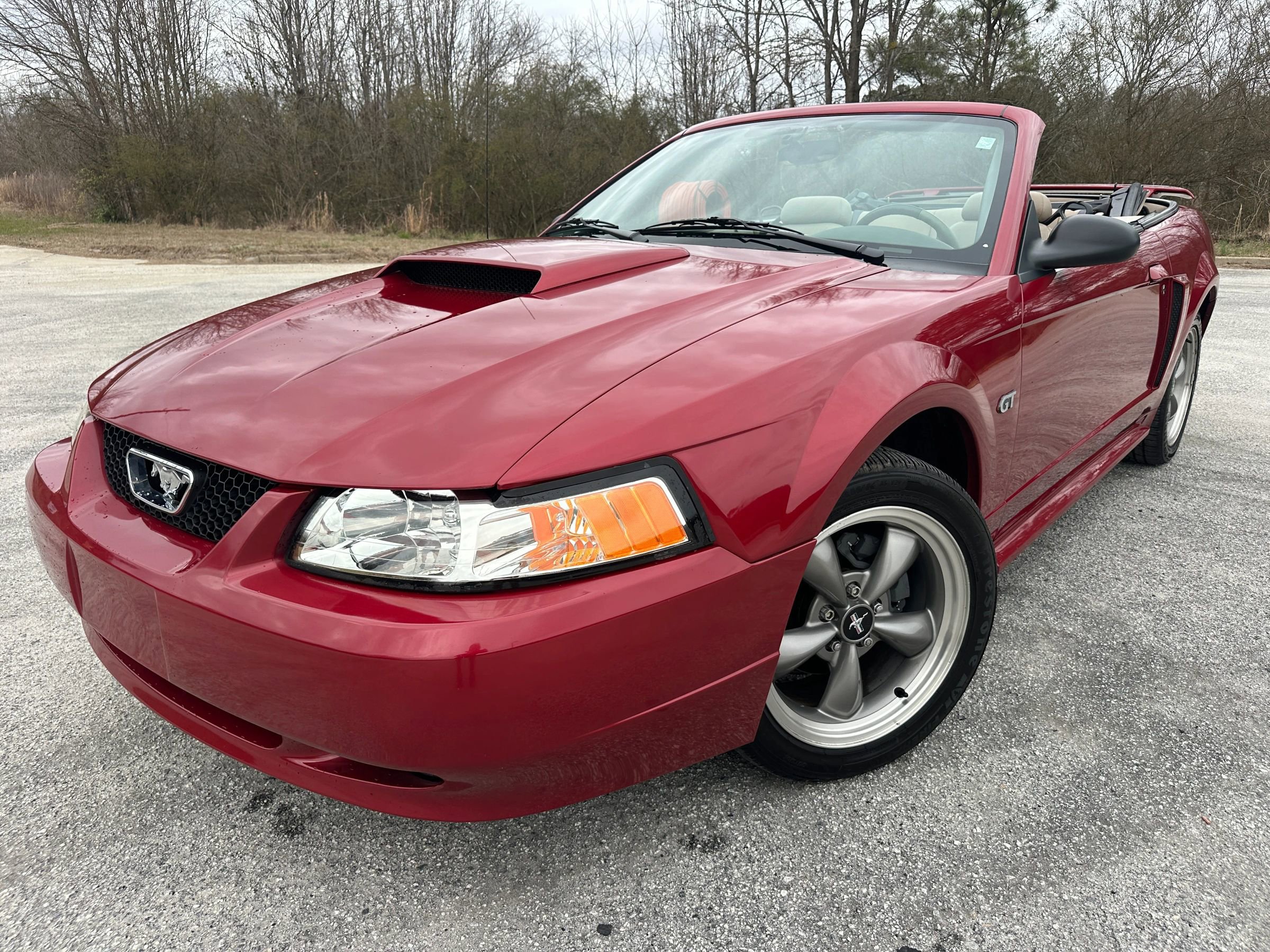 Used 2003 Ford Mustang GT Premium image 1