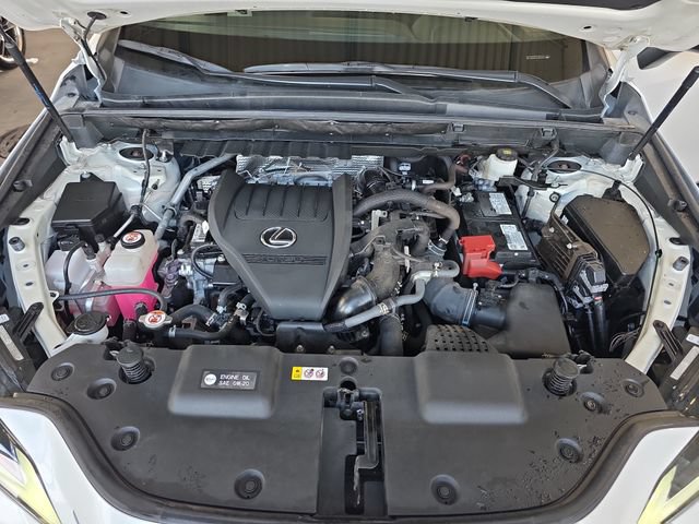 Certified 2024 Lexus NX 350 AWD w/ Cold Area Package image 29