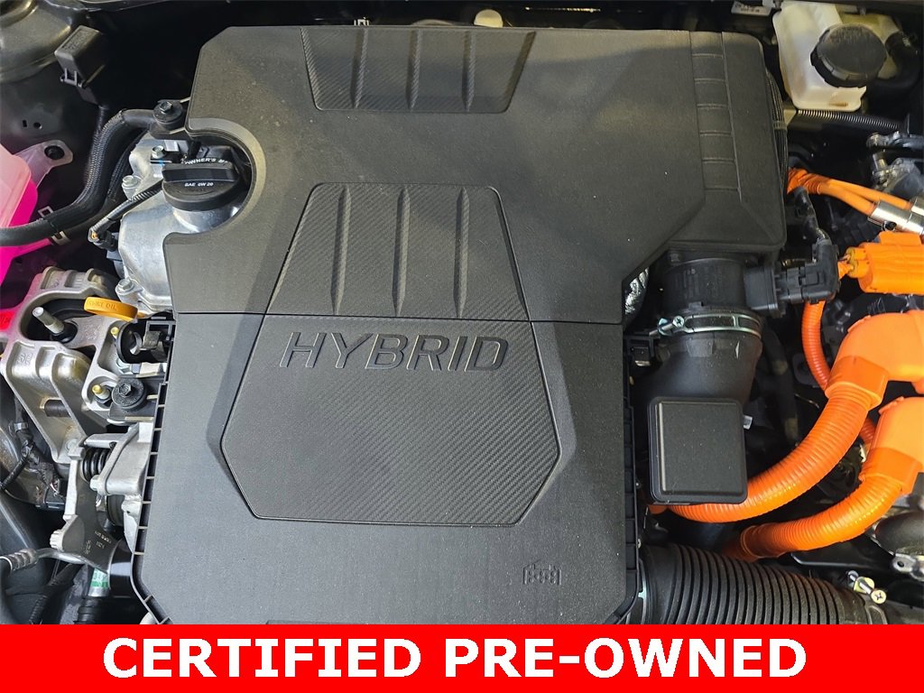 Used 2025 Hyundai Elantra Limited image 30