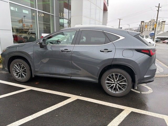 Used 2023 Lexus NX 350h AWD image 4
