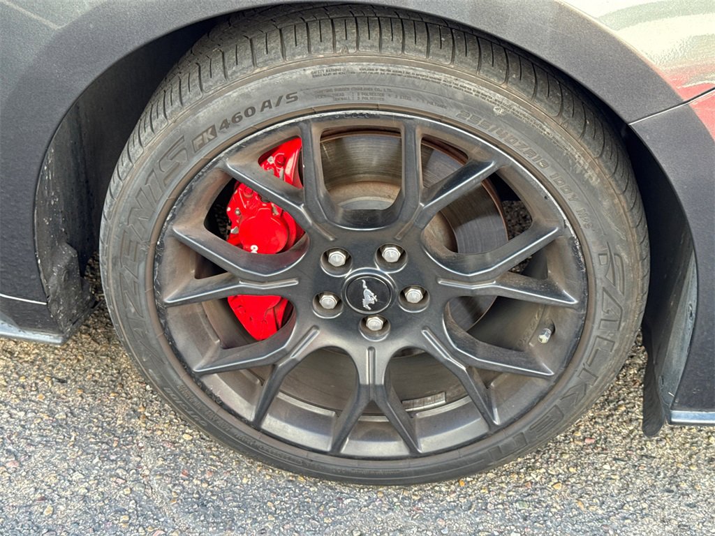 Used 2019 Ford Mustang Coupe w/ Ecoboost Performance Package image 17