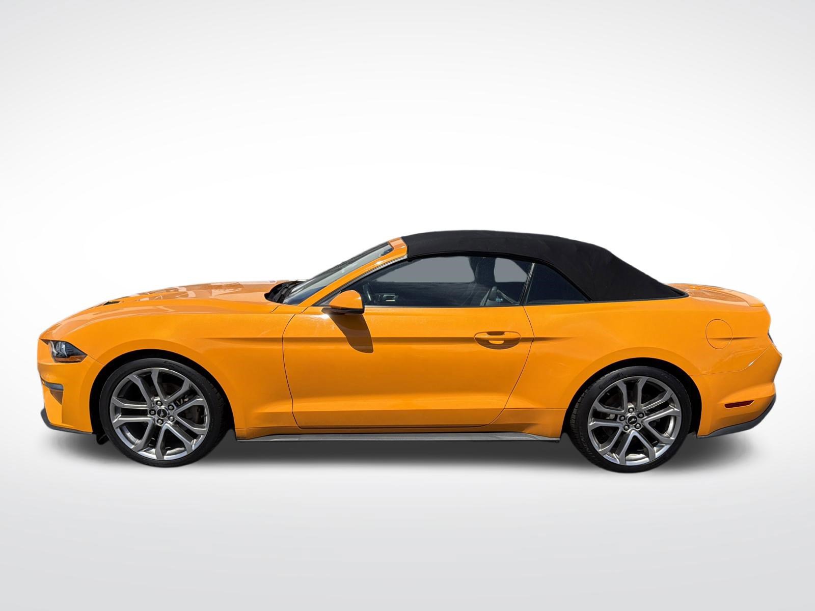 Used 2018 Ford Mustang Premium w/ Equipment Group 201A RWD image 15