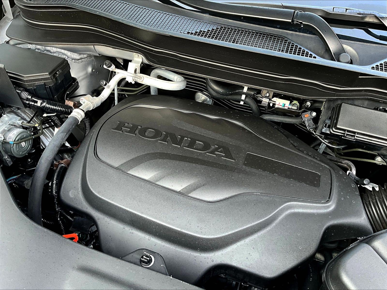 Used 2025 Honda Passport TrailSport image 31