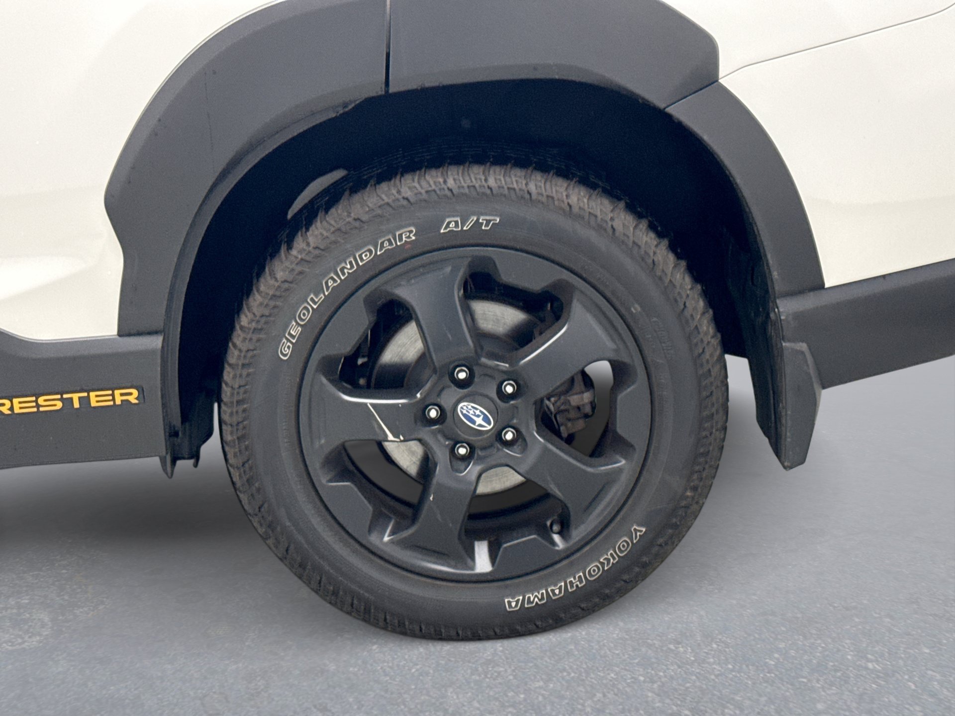 Used 2024 Subaru Forester Wilderness AWD/4WD image 12