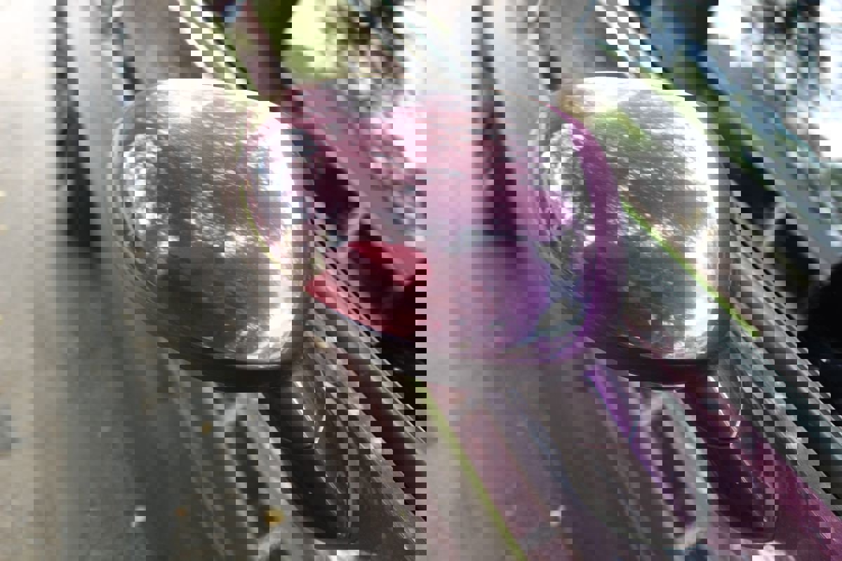 Used 2021 Dodge Challenger R/T Scat Pack w/ Driver Convenience Group image 61