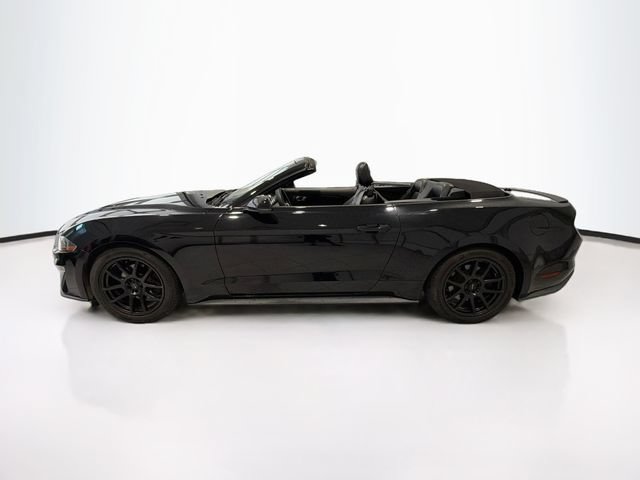 Used 2019 Ford Mustang Premium RWD image 4