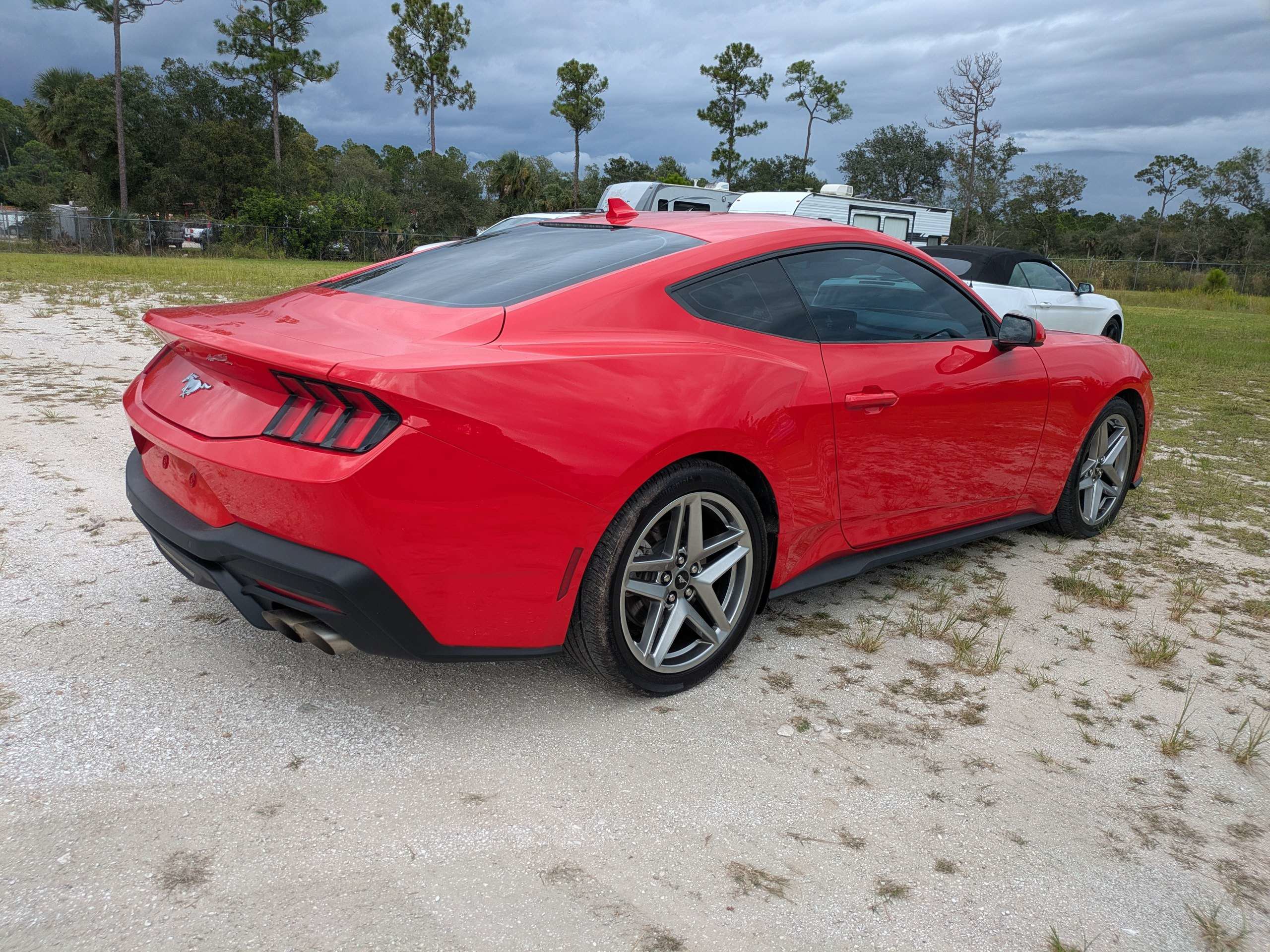 Used 2024 Ford Mustang Premium RWD image 4