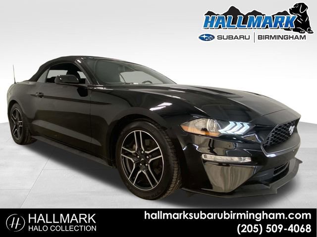 Used 2019 Ford Mustang Premium