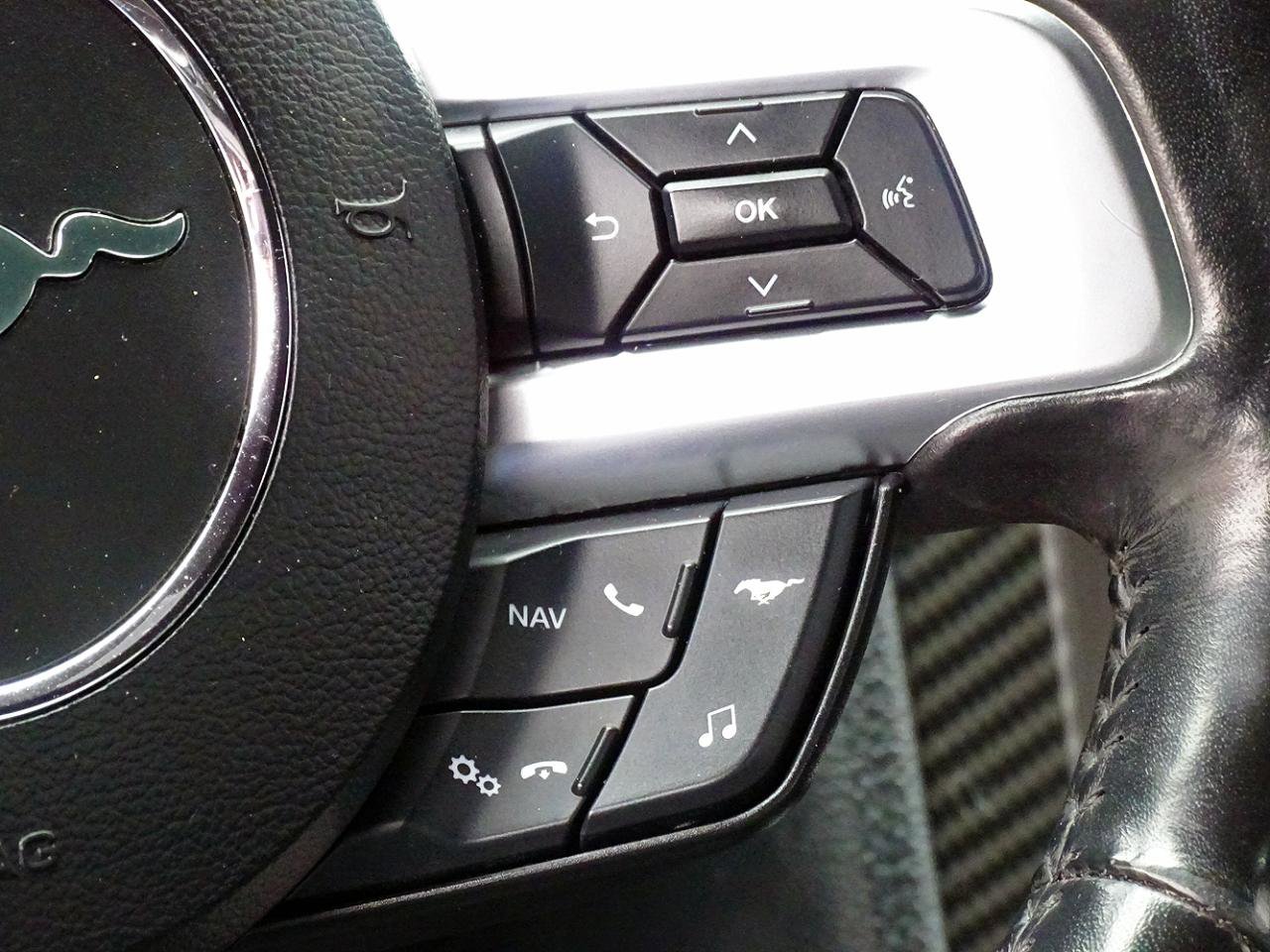 Used 2019 Ford Mustang GT Premium w/ GT Performance Package RWD image 33