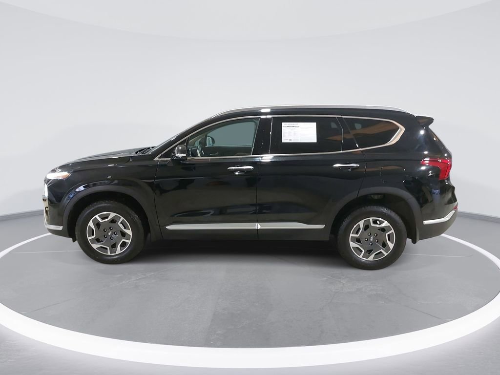 Used 2023 Hyundai Santa Fe Blue AWD/4WD image 8