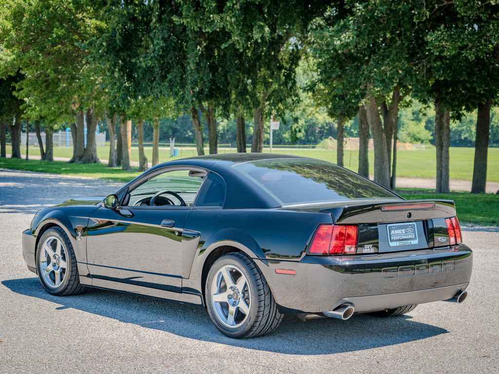 Used 2003 Ford Mustang Cobra RWD image 4