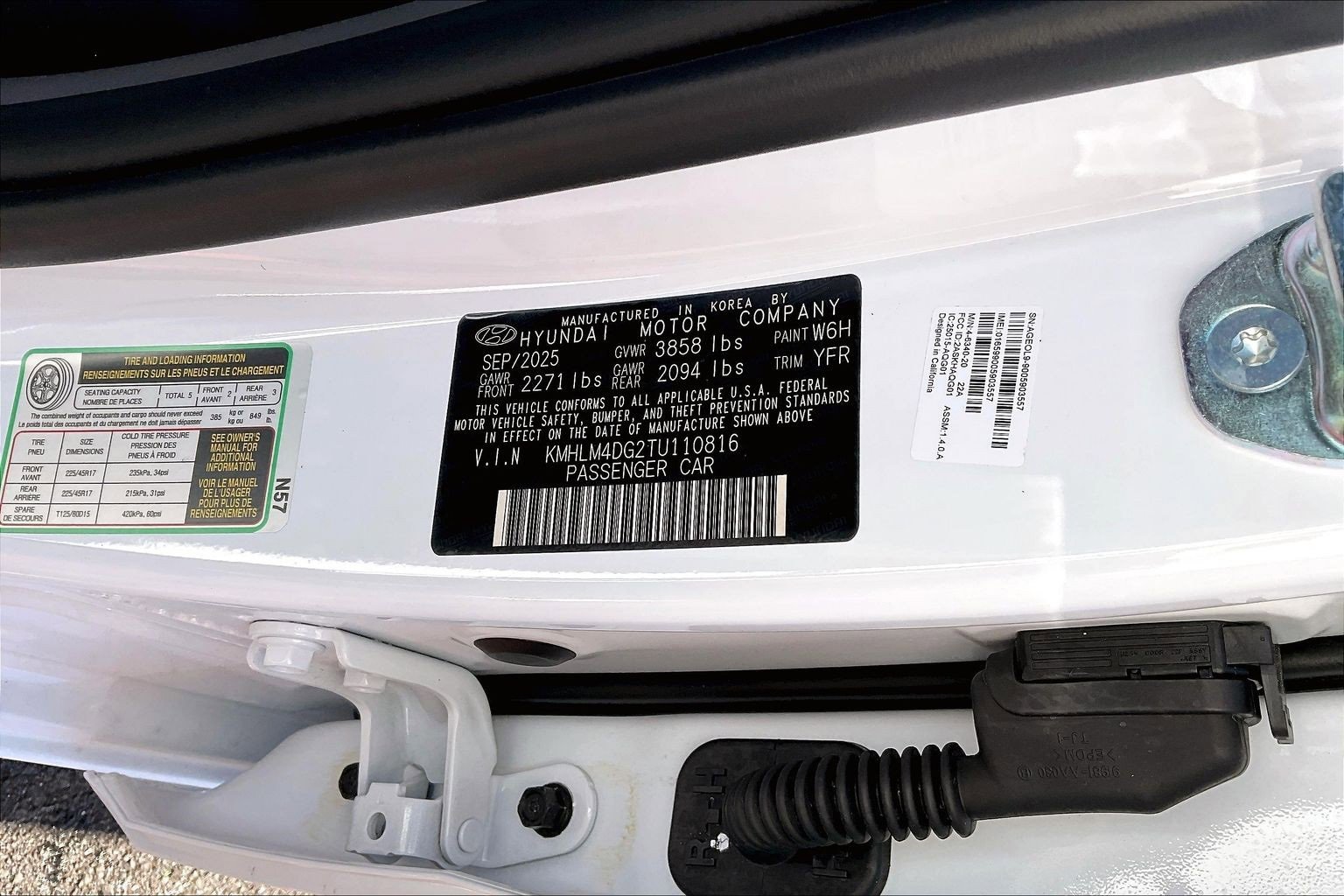 New 2026 Hyundai Elantra Sport image 8