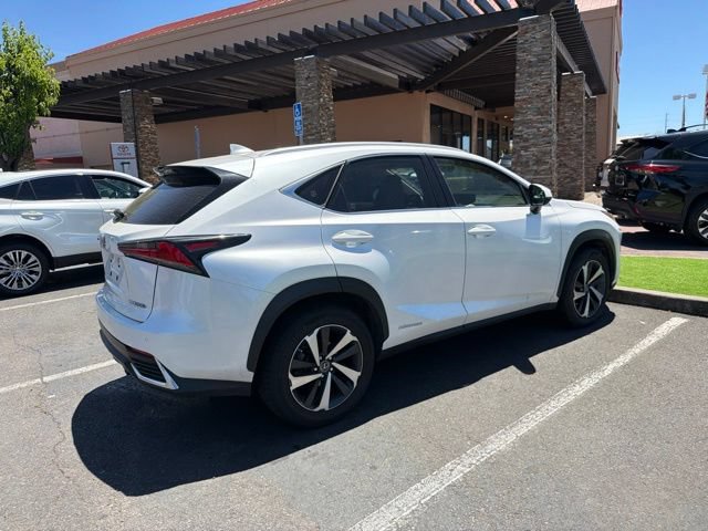Used 2020 Lexus NX 300h AWD w/ Premium Package image 12