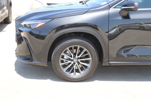 Certified 2026 Lexus NX 350h AWD w/ Cold Area Package image 4