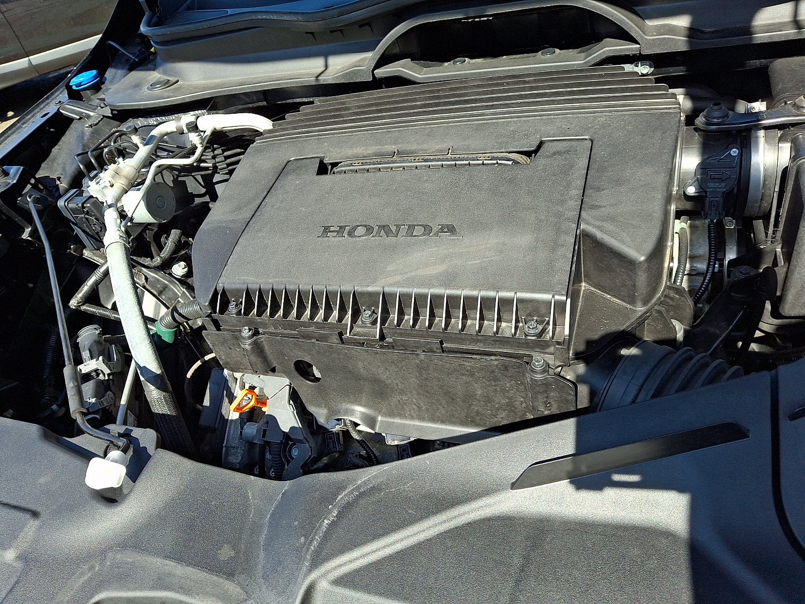 Certified 2025 Honda Pilot Touring image 29
