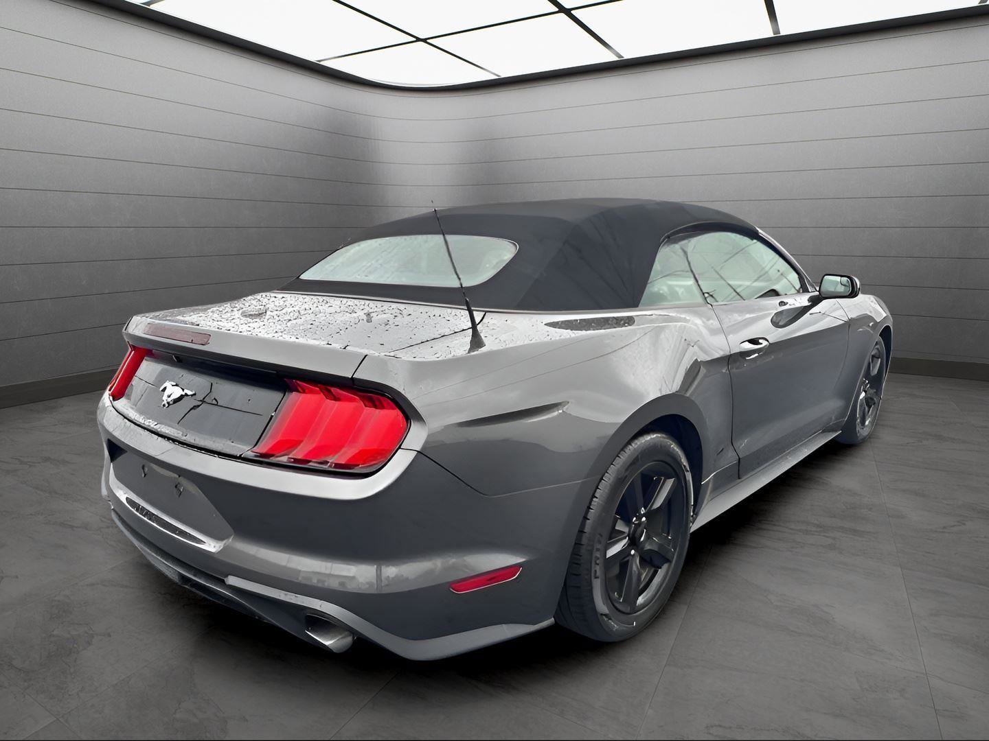 Used 2019 Ford Mustang Convertible image 5