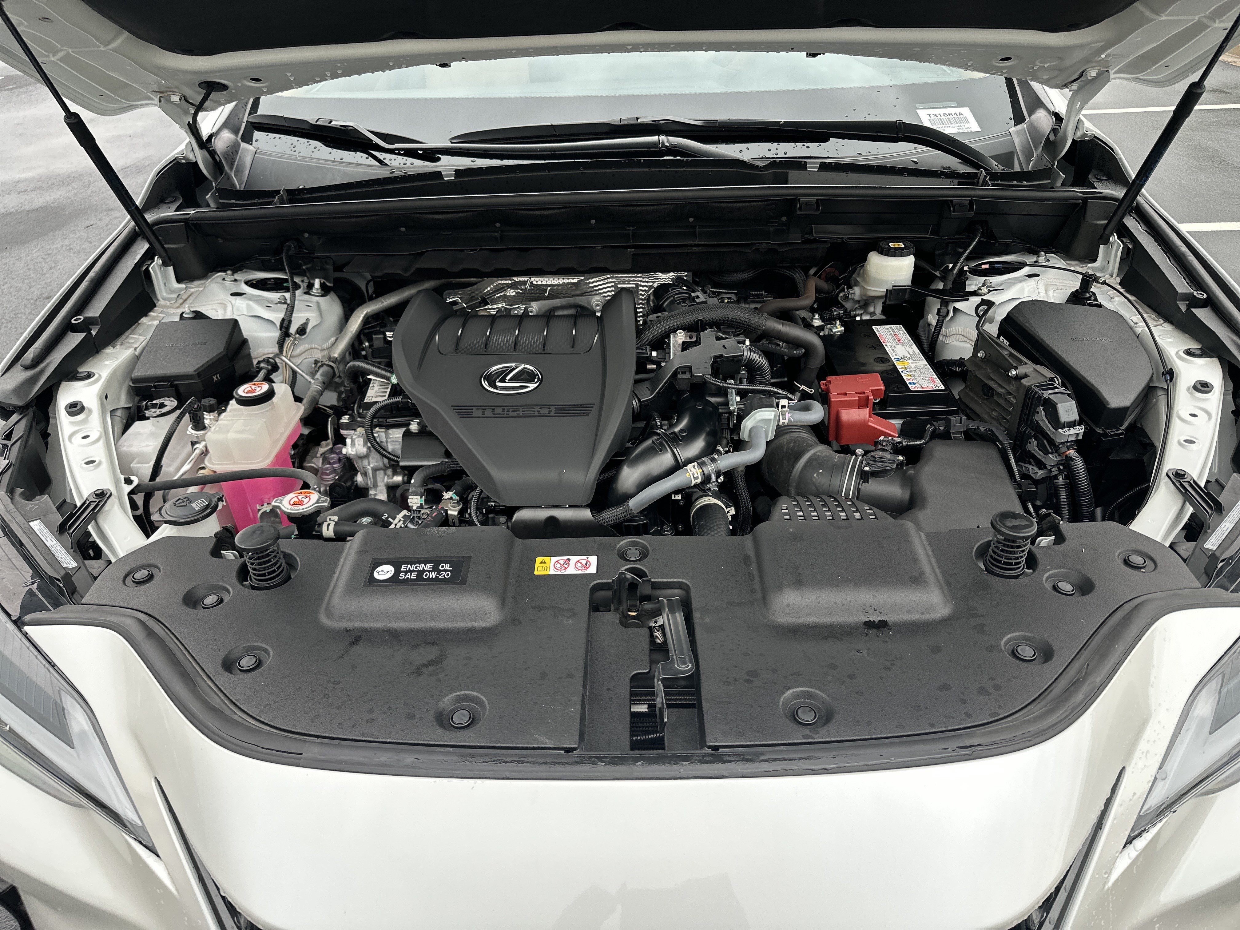 Certified 2024 Lexus NX 350 AWD w/ Cold Area Package image 34