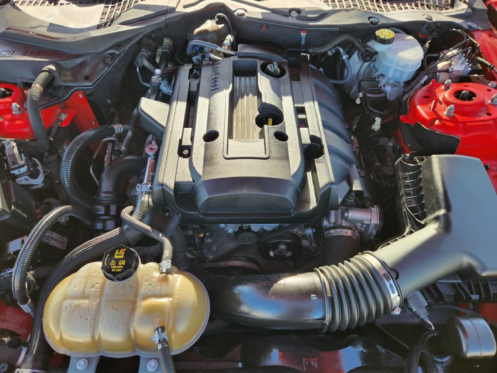 Used 2019 Ford Mustang Premium RWD image 29