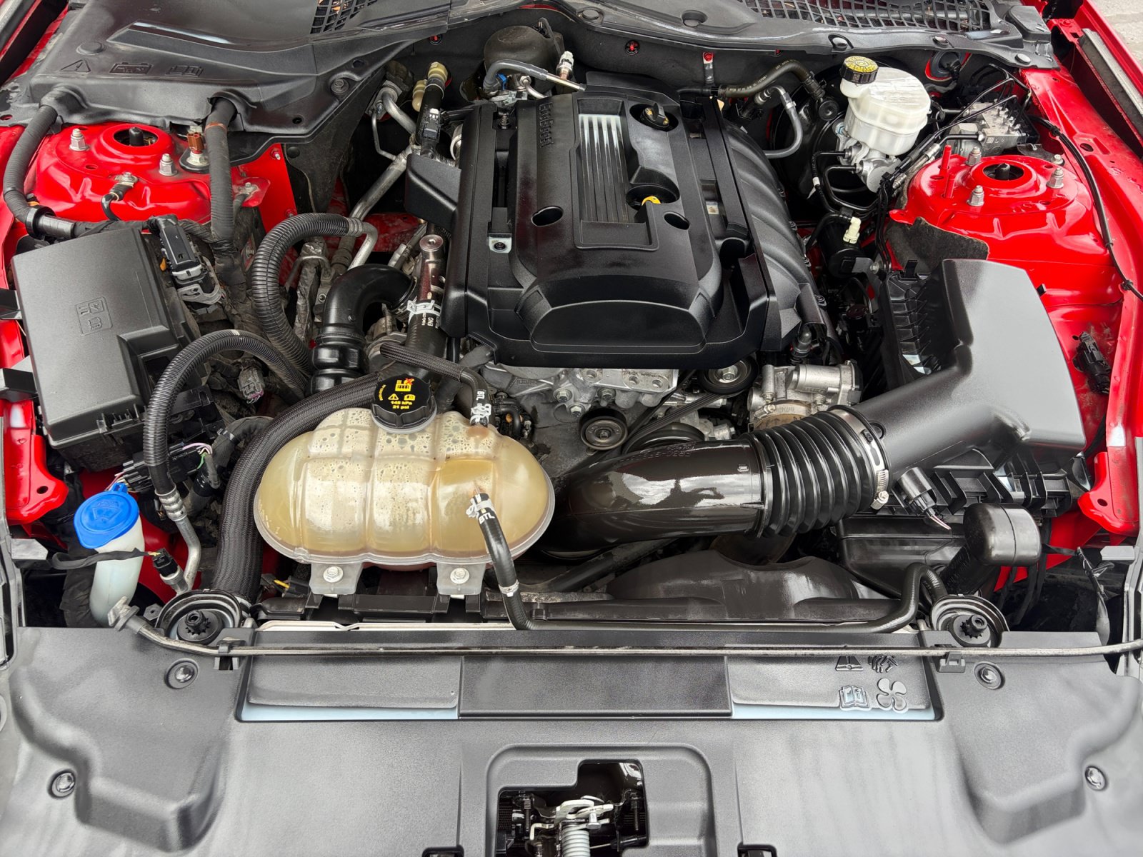 Used 2020 Ford Mustang Premium RWD image 14