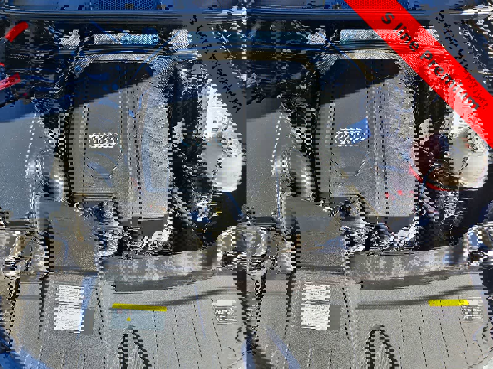 Used 2023 Audi Q5 2.0T Premium Plus w/ Premium Plus Package image 13