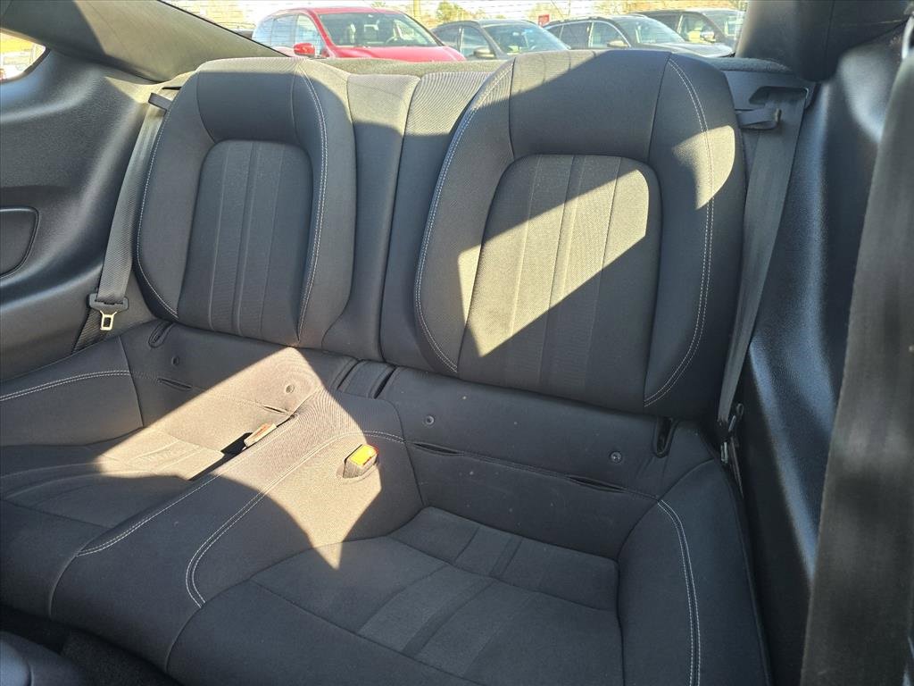 Used 2019 Ford Mustang EcoBoost w/ Equipment Group 101A image 10