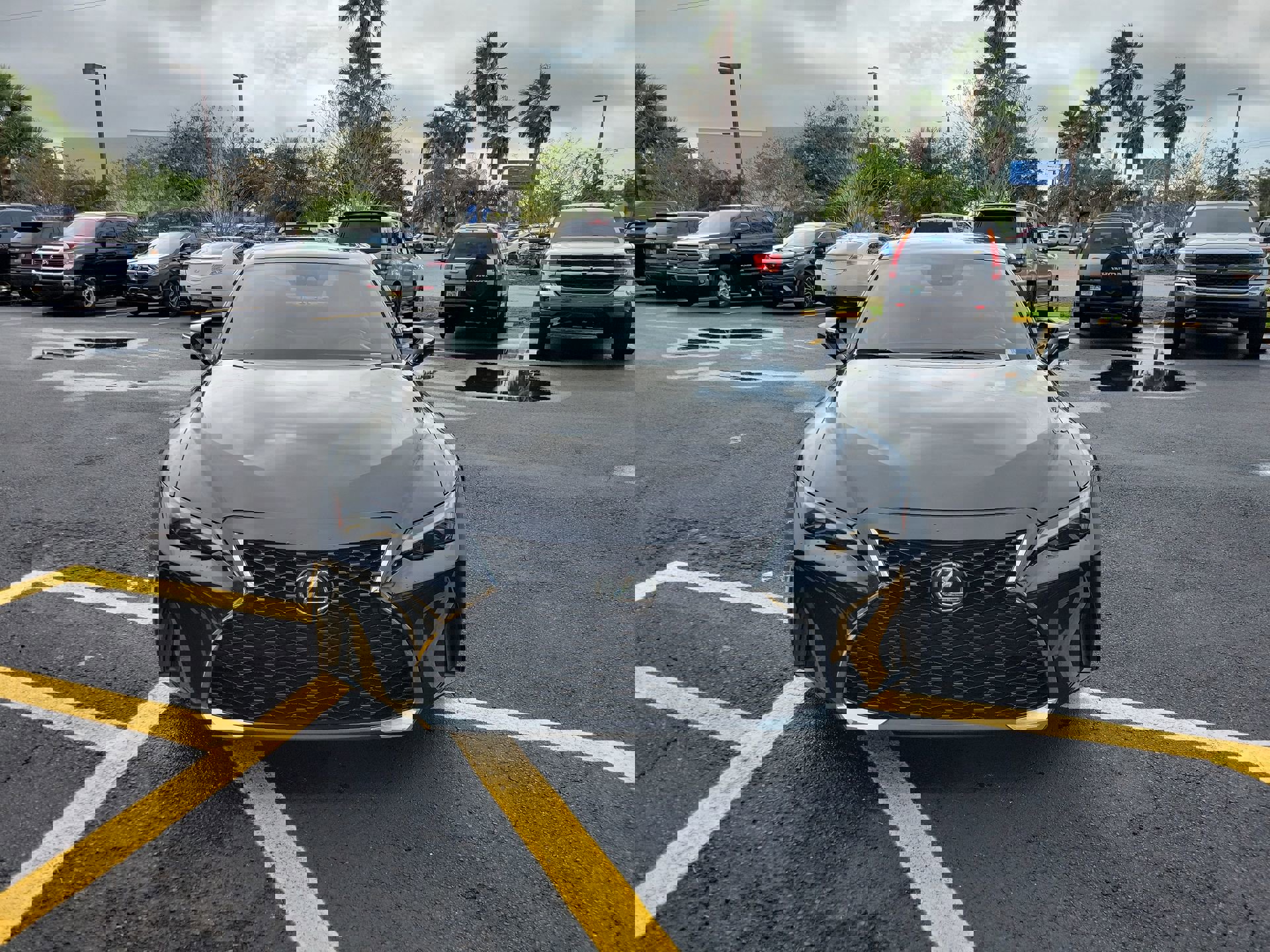 Used 2024 Lexus IS 300 w/ Premium Package image 4