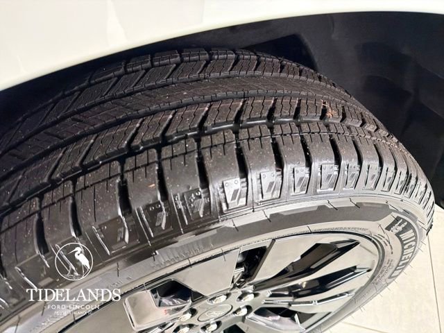 New 2025 Ford Expedition Platinum w/ Stealth Appearance Package image 29