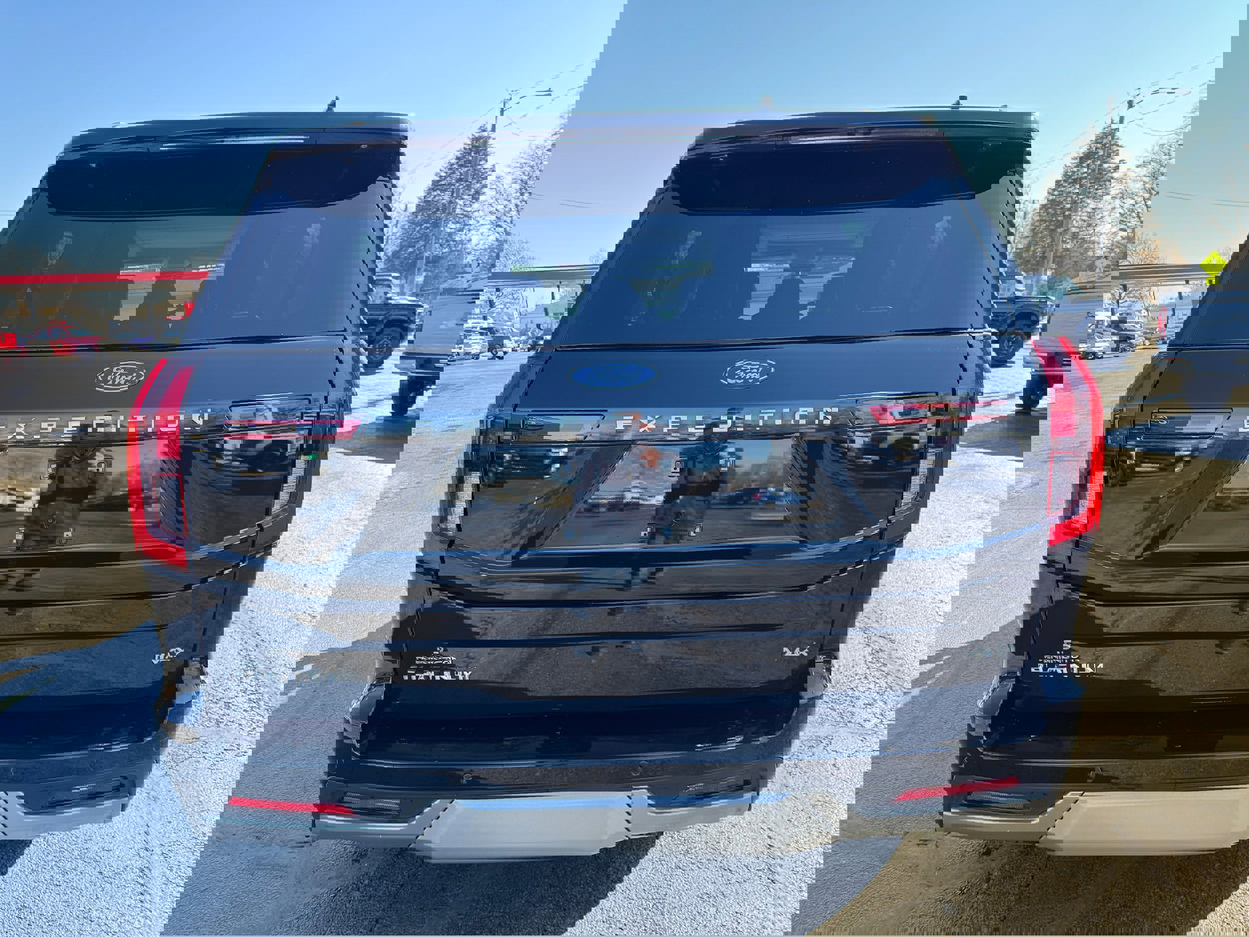 Used 2025 Ford Expedition Max Platinum image 6