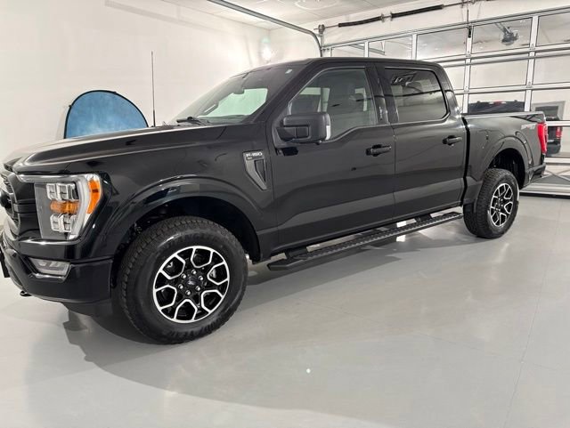 Used 2023 Ford F150 XLT w/ Equipment Group 302A High AWD/4WD image 4