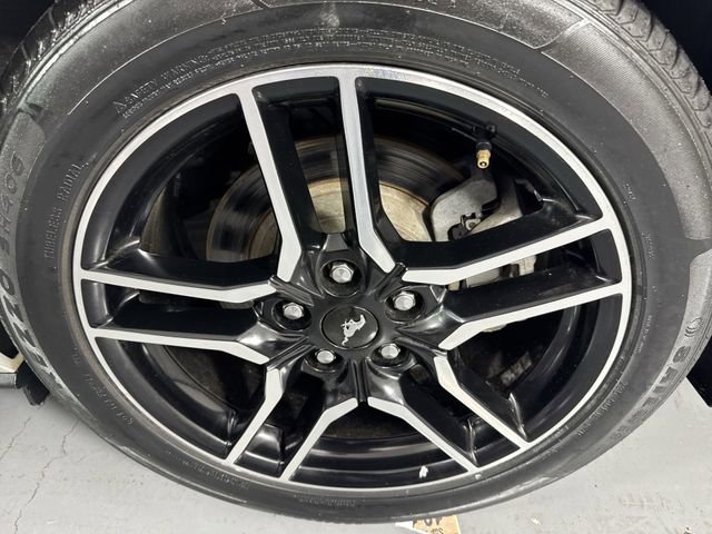 Used 2019 Ford Mustang Premium RWD image 5