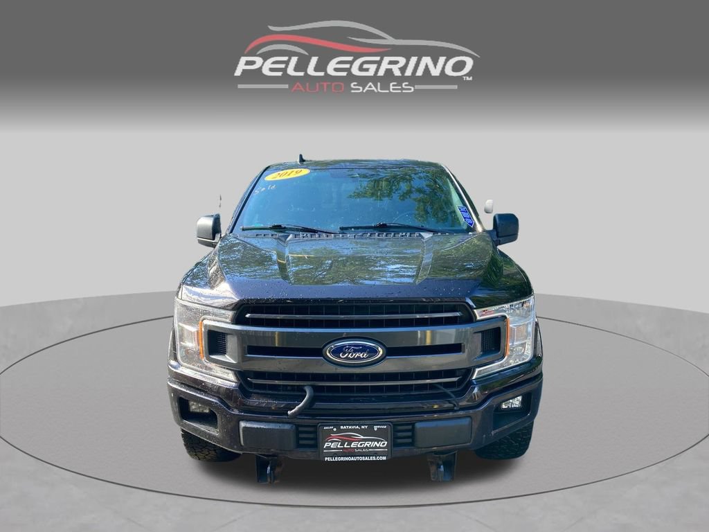 Used 2019 Ford F150 XLT w/ Equipment Group 302A Luxury AWD/4WD image 10