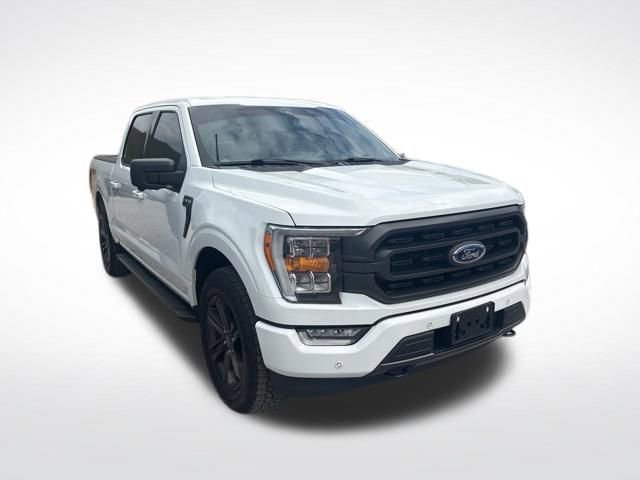 Used 2021 Ford F150 XLT w/ Equipment Group 302A High image 3